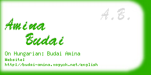 amina budai business card